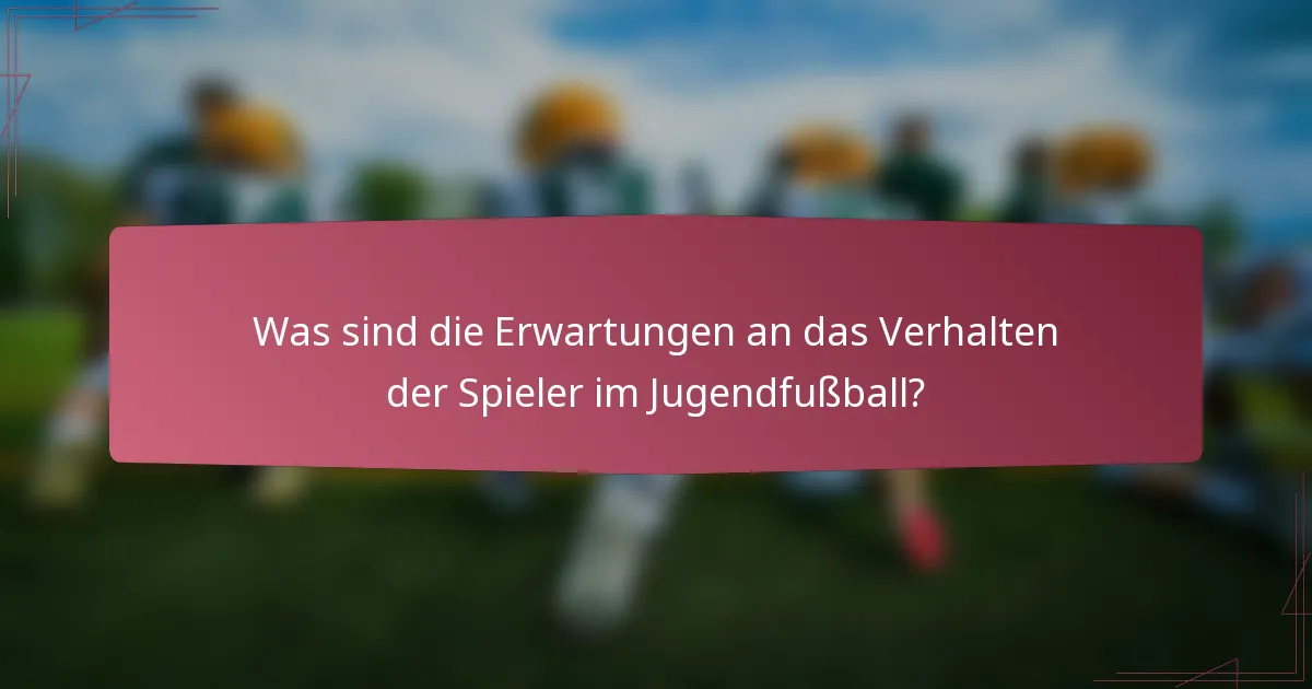 Was sind die Erwartungen an das Verhalten der Spieler im Jugendfußball?
