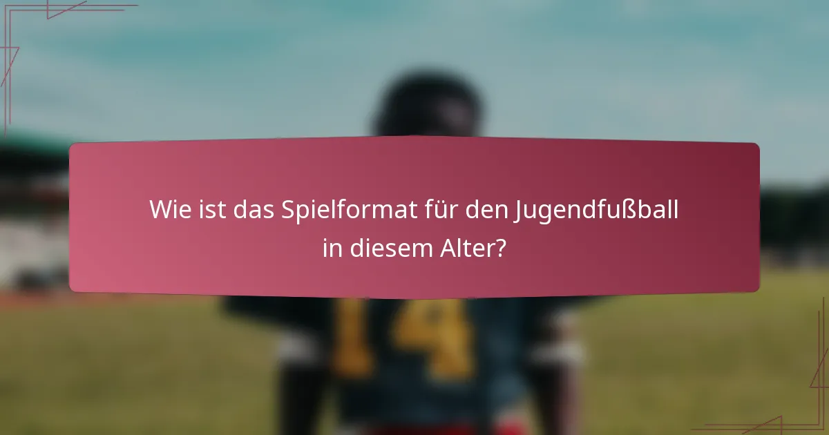 Wie ist das Spielformat für den Jugendfußball in diesem Alter?