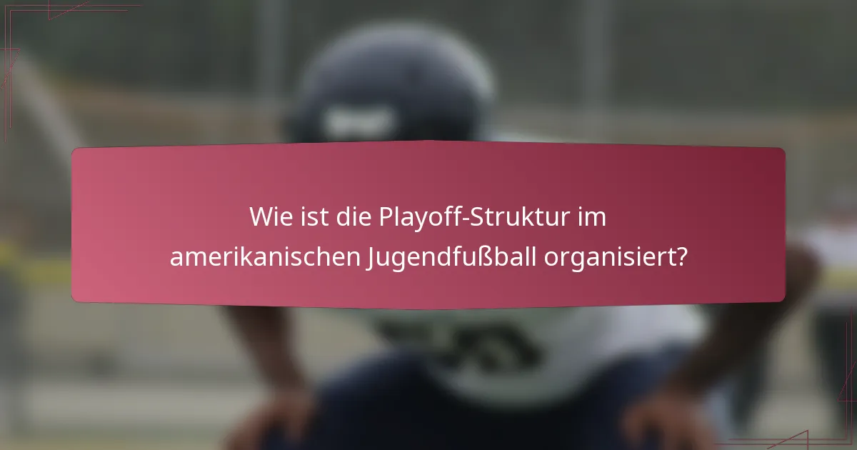 Wie ist die Playoff-Struktur im amerikanischen Jugendfußball organisiert?