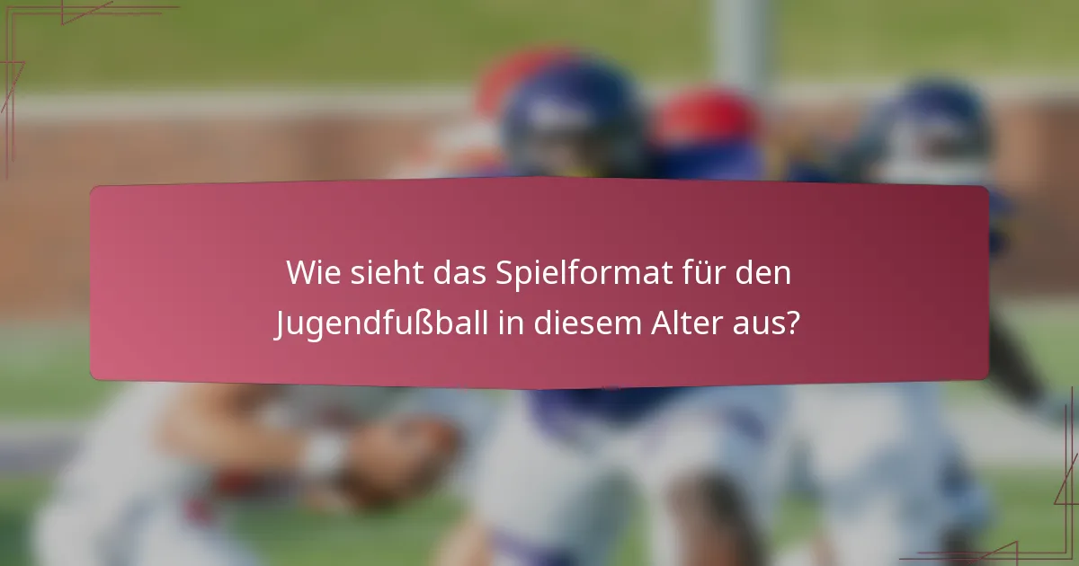 Wie sieht das Spielformat für den Jugendfußball in diesem Alter aus?